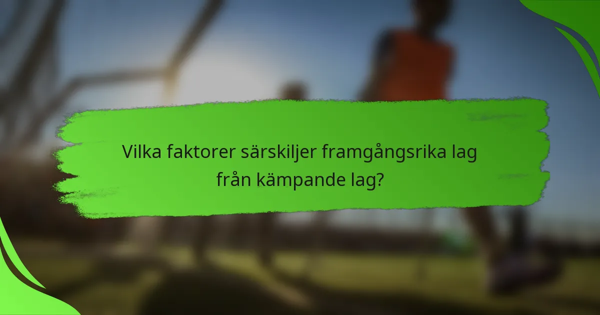 Vilka faktorer särskiljer framgångsrika lag från kämpande lag?
